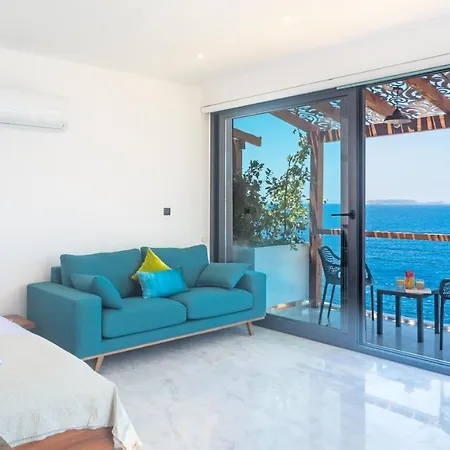 Mandalina (adults Only) * 카스