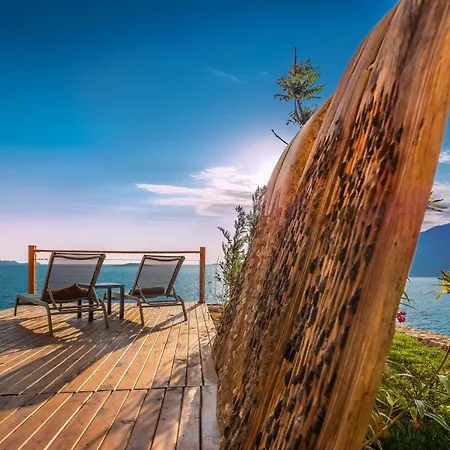 Mandalina (adults Only) 카스